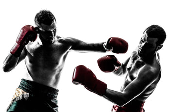 Kaydian Beds v. Frank Hudson Beds - Deathmatch!!!